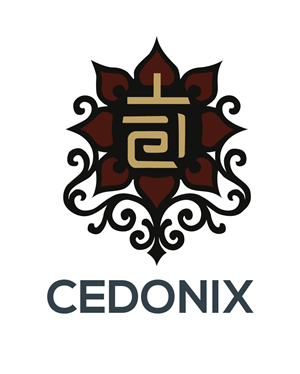 Design de Logo par Abhinav | Creative Artist pour Cedonix, LLC | Design : #35947517