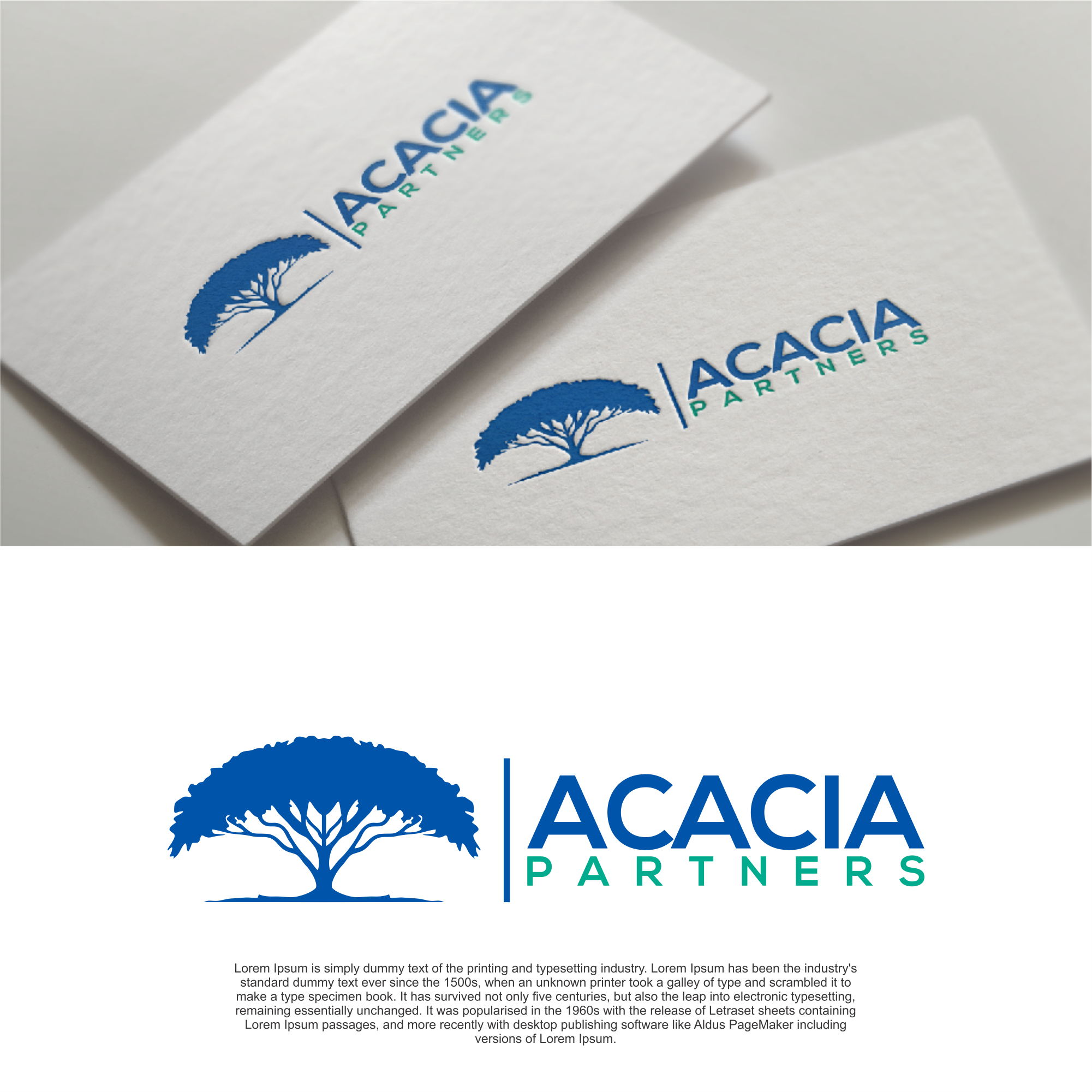 Diseño de Logo por diego costa para este proyecto | Diseño #35933752