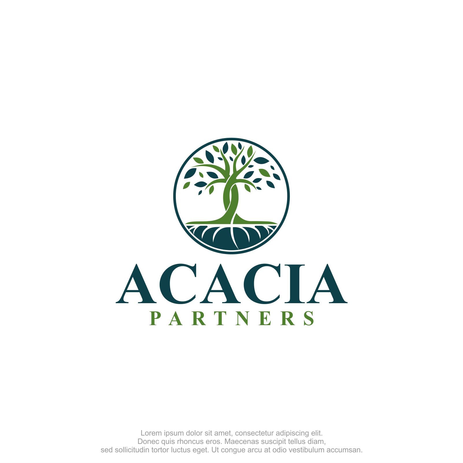 Logo Design by M.Syaiful Huda for this project | Design #35933342