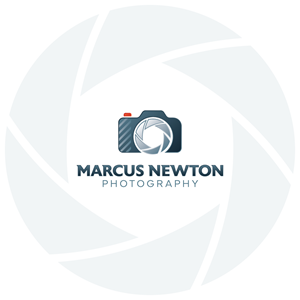Logo Design by JohnnyCactus