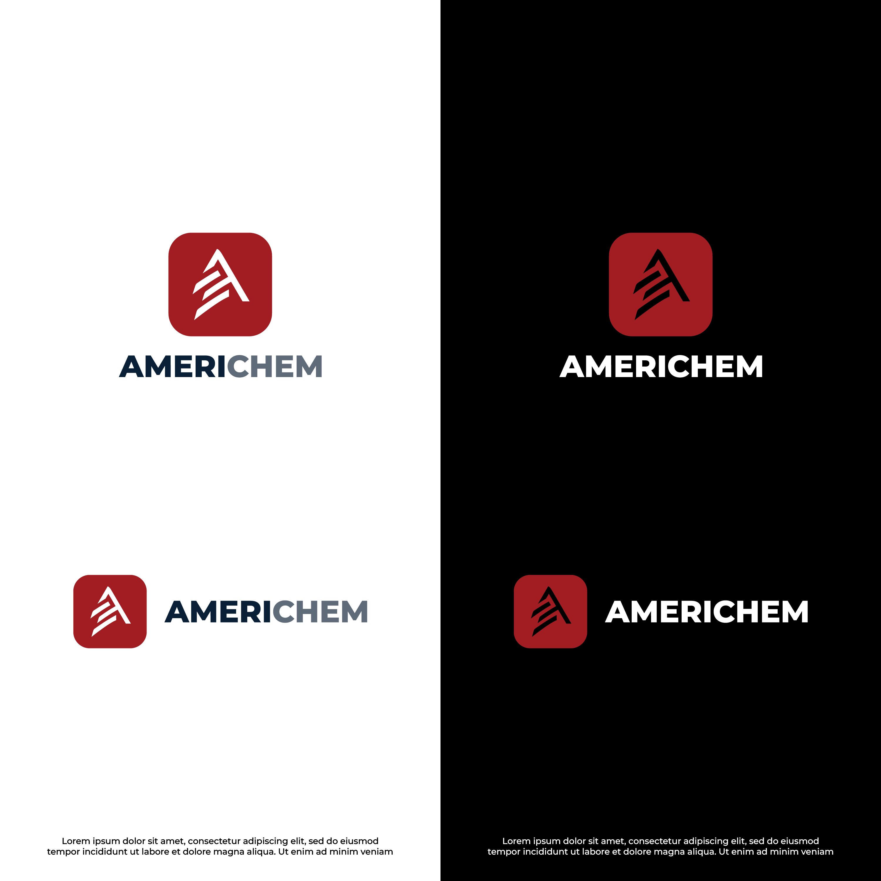 Logo Design by Anbu Chelvan for Americhem International | Design #35990698