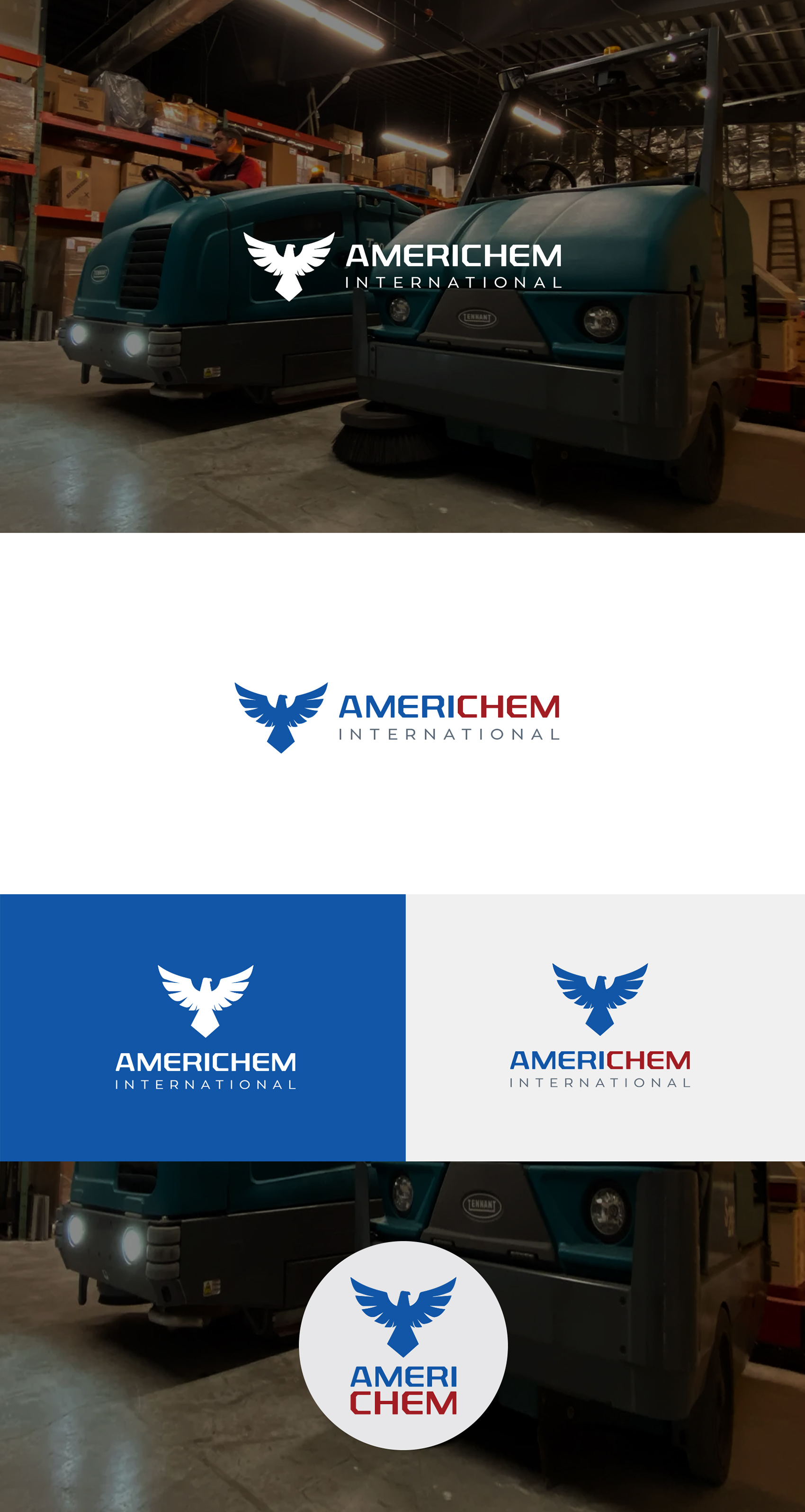 Logo Design by COLOURS BRANDING for Americhem International | Design #35949194