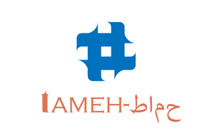 Logo Design by electronymous