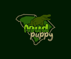 Logo Design by Ansh Design for this project | Design: #35949911