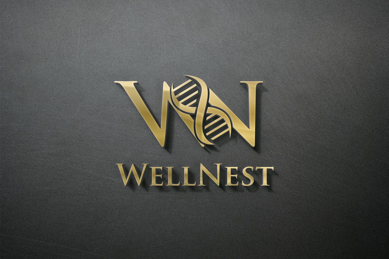 Logo Design by 4lv for this project | Design #35989114