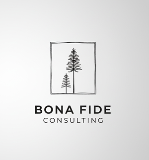 Logo Design by anizonestudio
