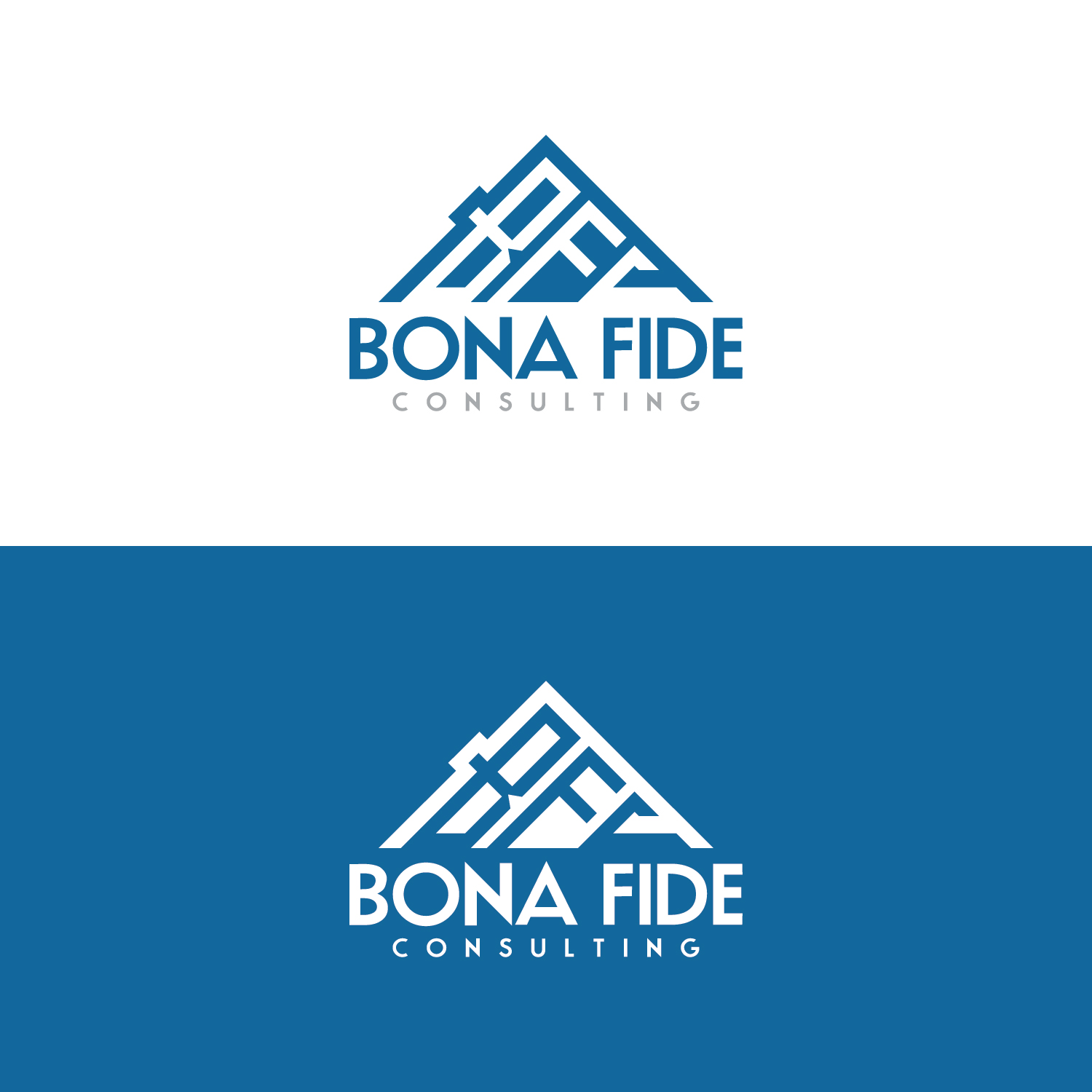 Logo-Design von Maxo-Biz für dieses Projekt | Design #35951909