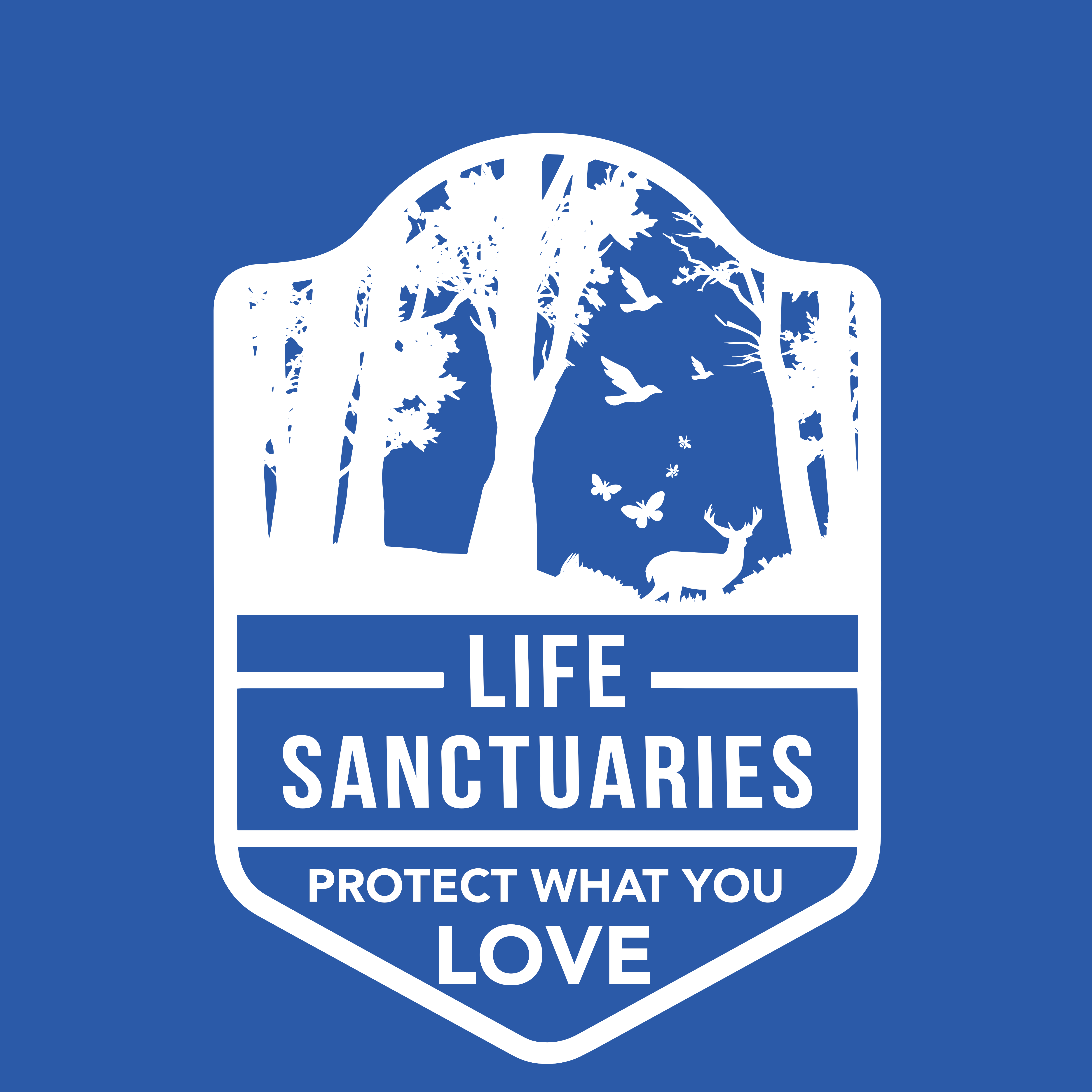 T-shirt Design by AnninWonderland for this project | Design #36263875