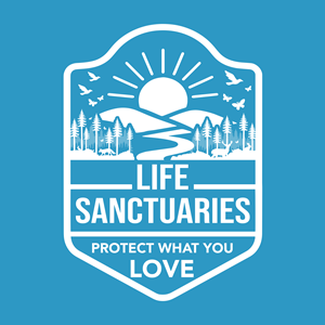 T-shirt Design by AnninWonderland for this project | Design: #36272059