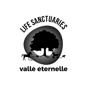 T-shirt Design by initials_MAN for this project | Design: #35969352