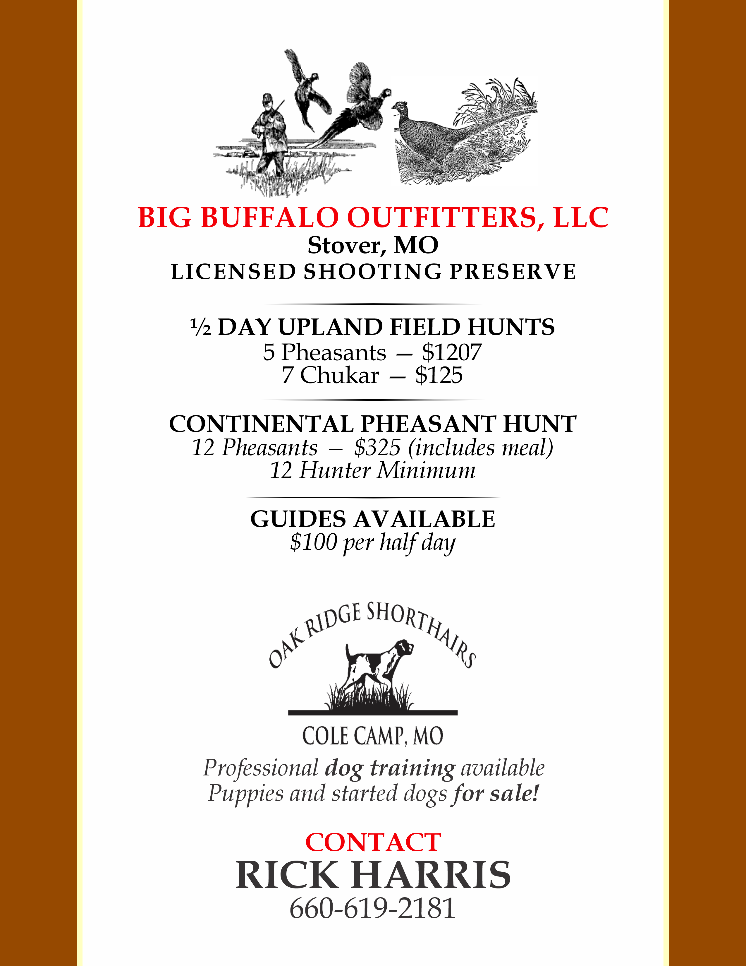 Flyer Design by Mozez32 for this project | Design #35974962