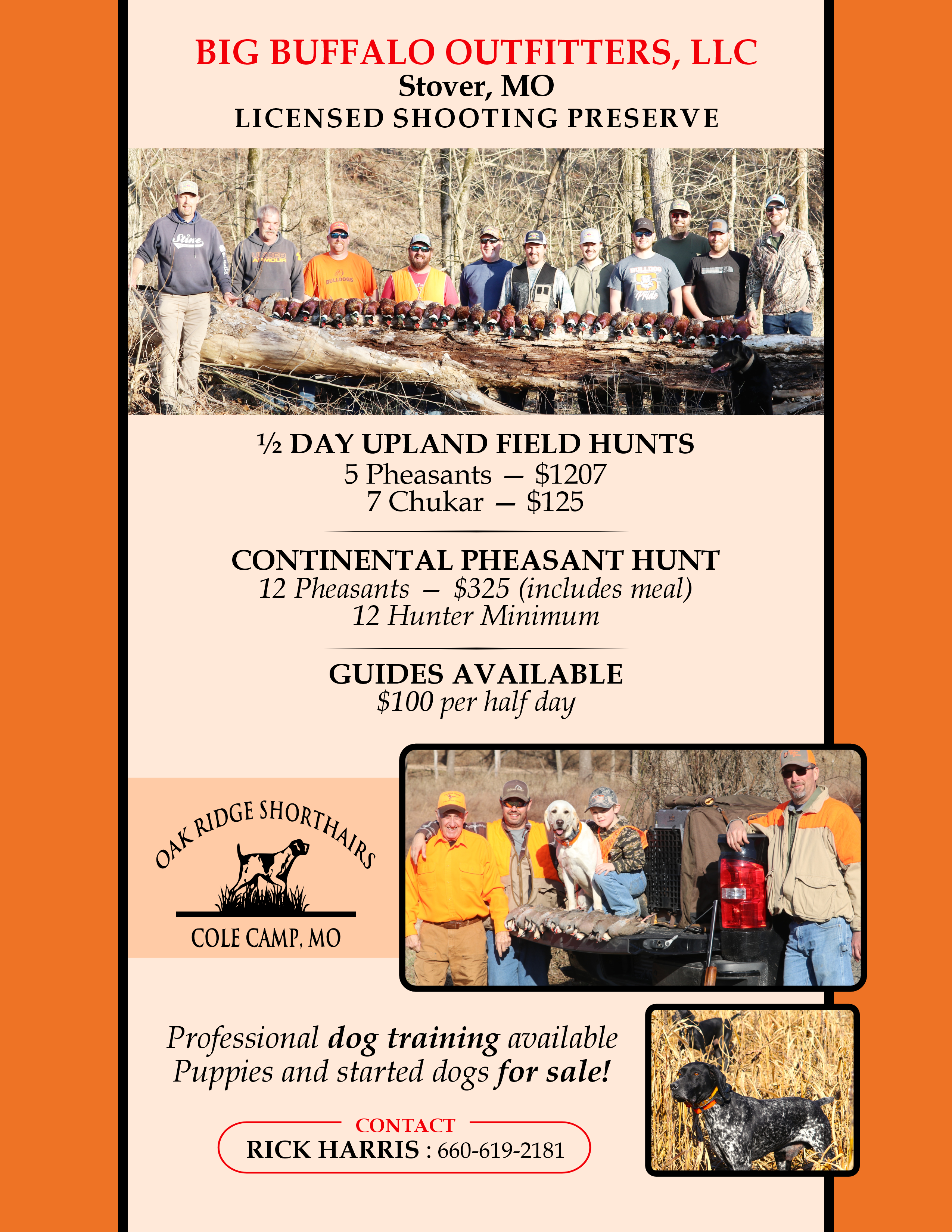 Flyer Design by Mozez32 for this project | Design #35976399