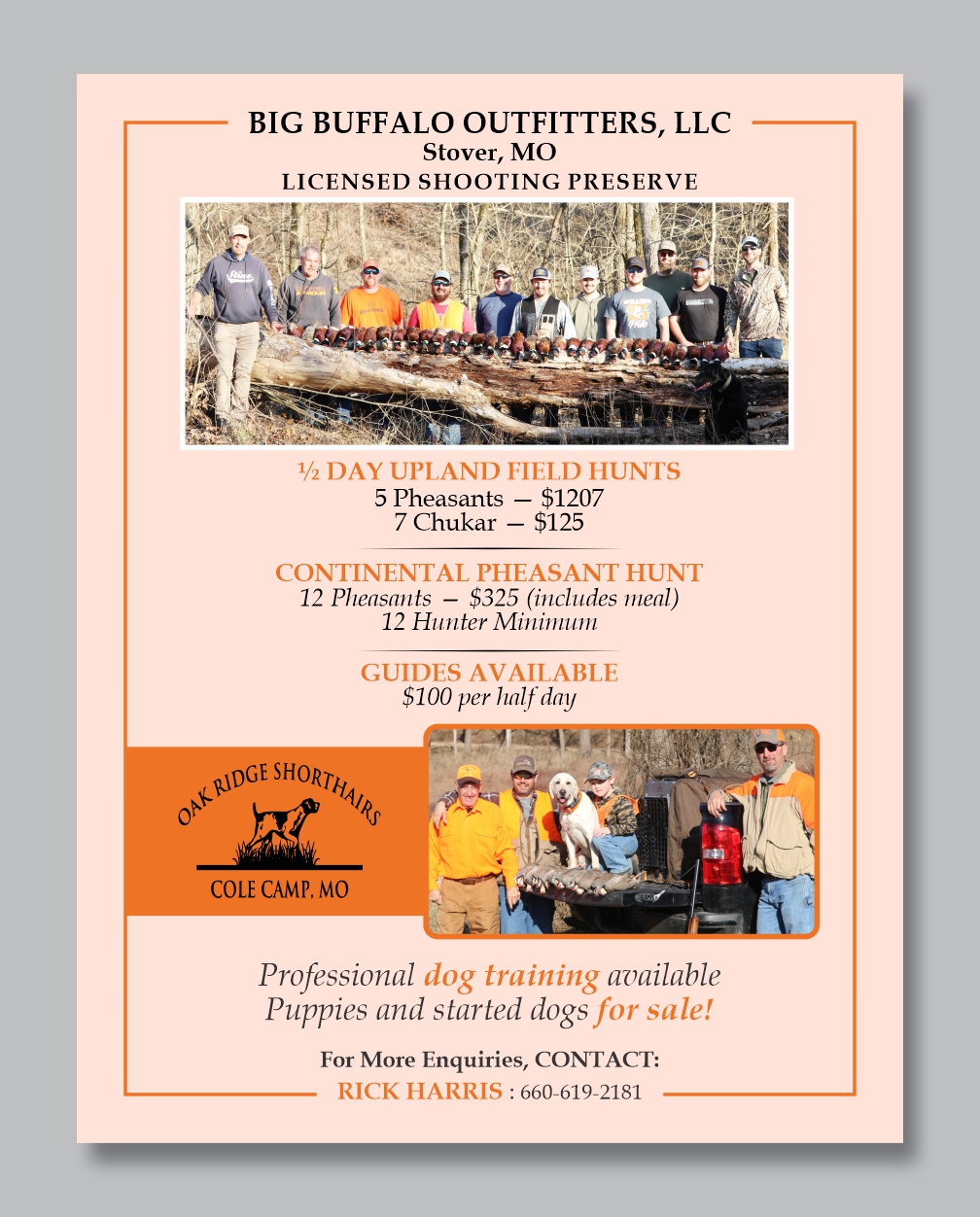 Flyer Design by Mozez32 for this project | Design #35976726