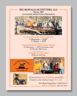 Flyer-Design von Mozez32 für dieses Projekt | Design: #35976813