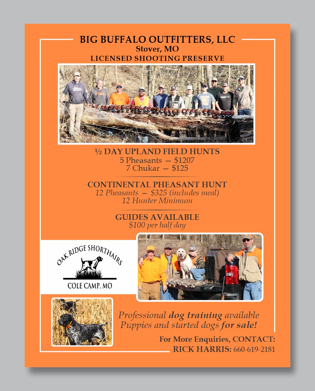 Flyer Design by Mozez32 for this project | Design #35976848