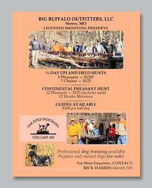 Flyer-Design von Mozez32 für dieses Projekt | Design: #35976875