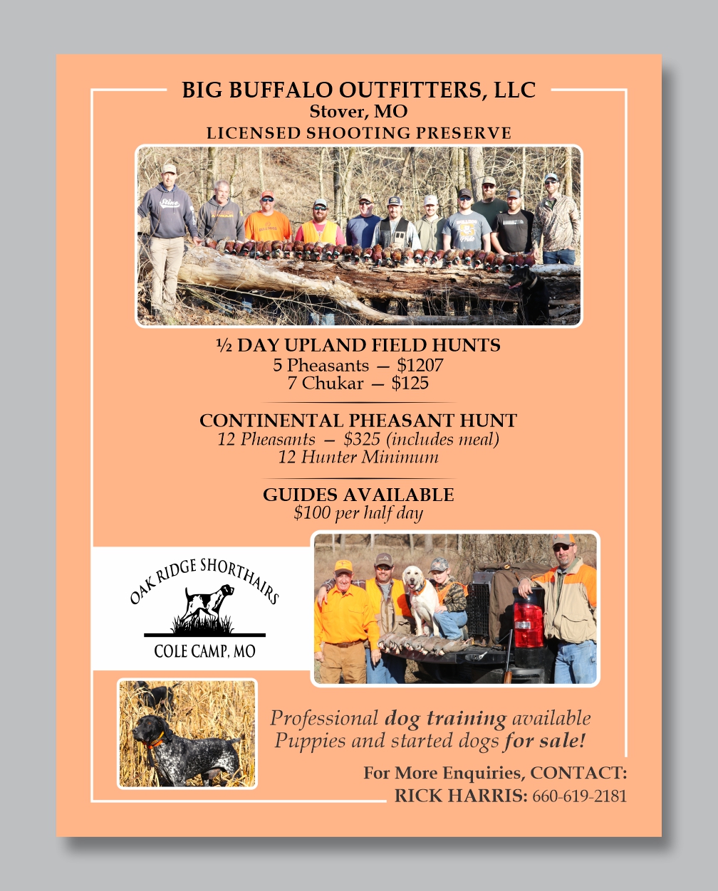 Flyer Design by Mozez32 for this project | Design #35976903