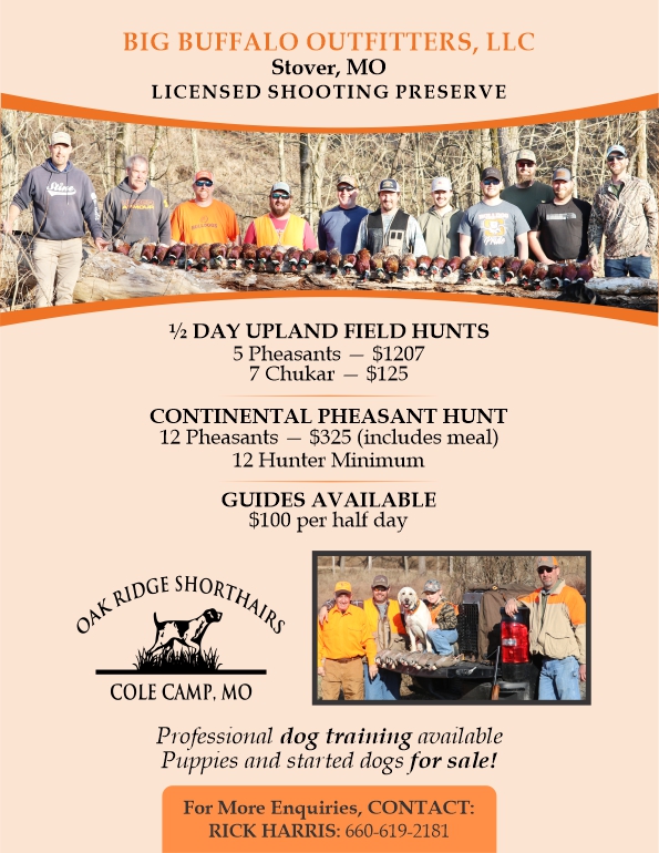 Flyer Design by Mozez32 for this project | Design #35978029