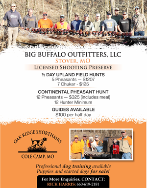 Flyer Design by Mozez32 for this project | Design: #35978391