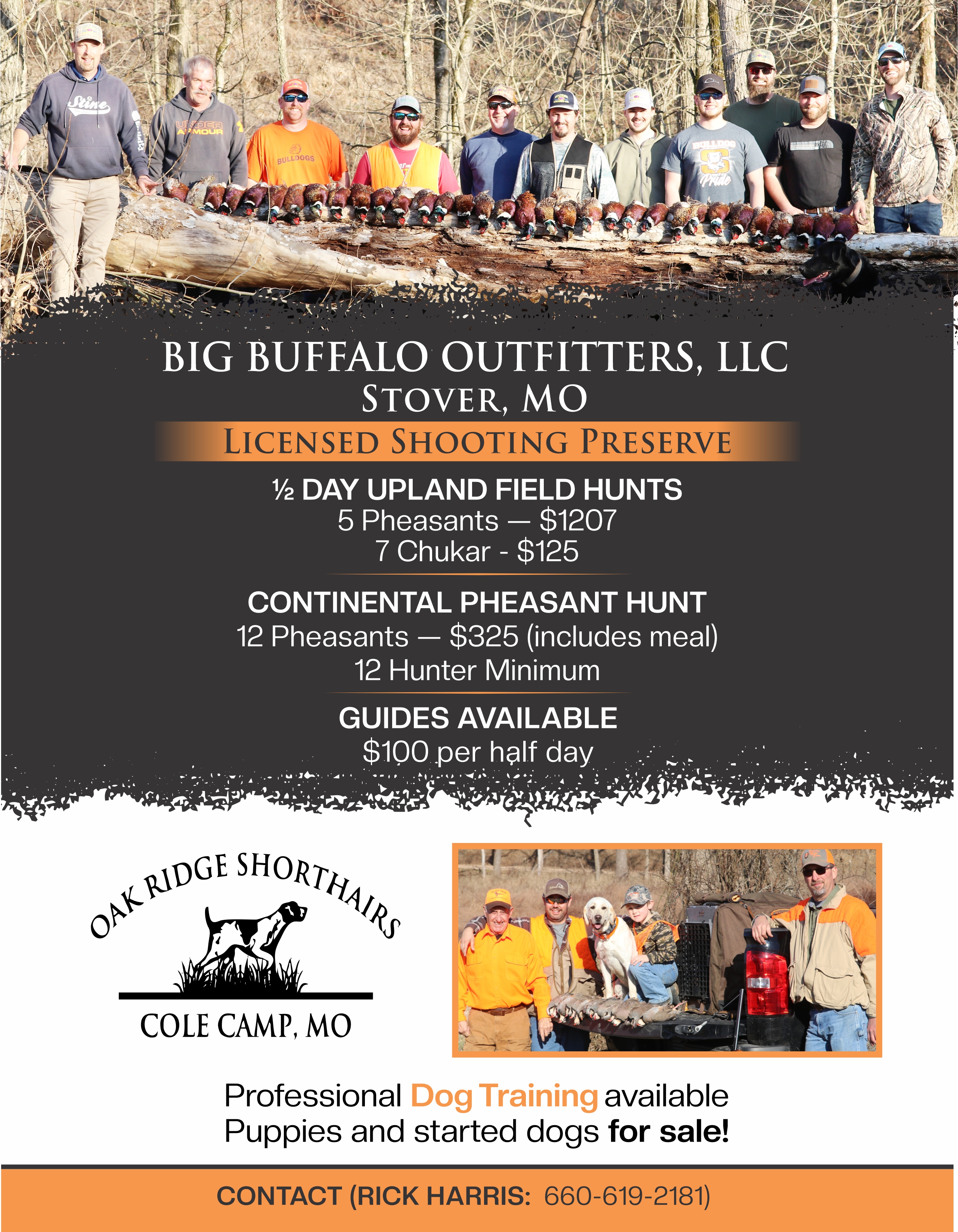 Flyer Design by Mozez32 for this project | Design #35978493