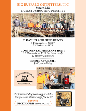 Flyer Design by Mozez32 for this project | Design: #35985162