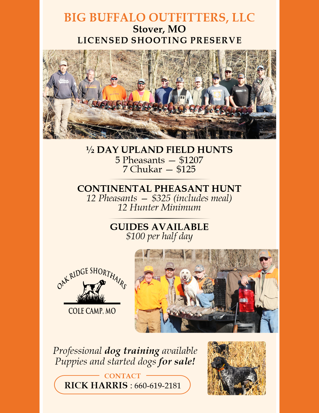 Flyer Design by Mozez32 for this project | Design #35985224