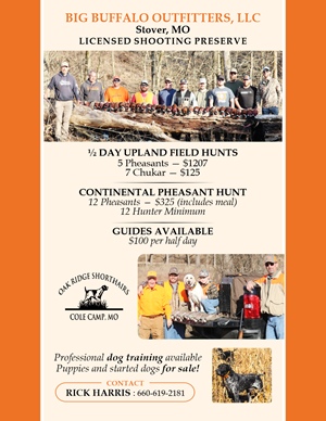 Flyer Design by Mozez32 for this project | Design: #35985224