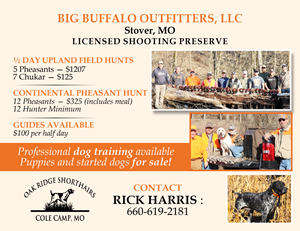 Flyer Design by Mozez32 for this project | Design: #35985894