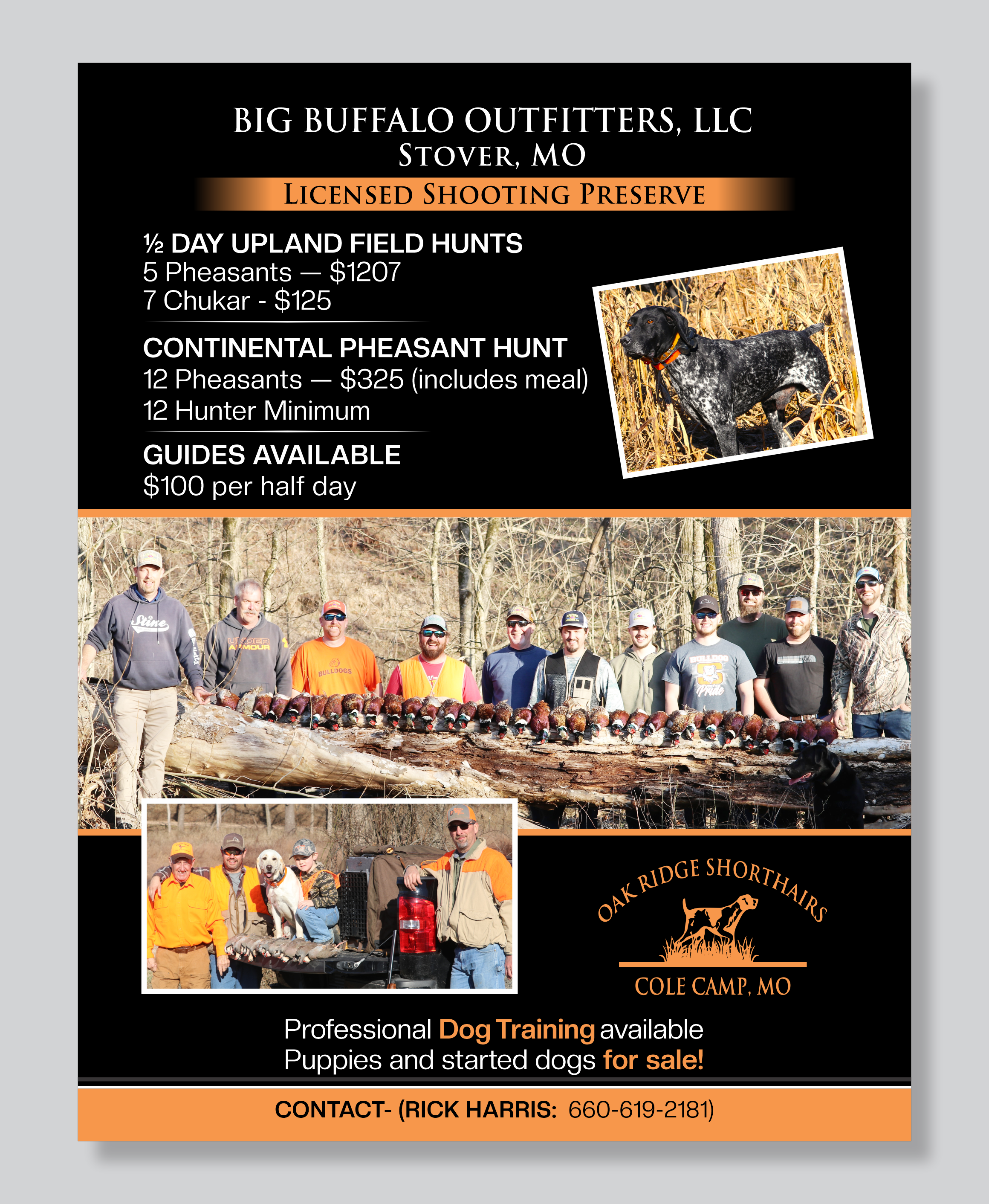Flyer Design by Mozez32 for this project | Design #35986161