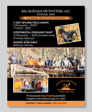 Flyer Design by Mozez32 for this project | Design: #35986161