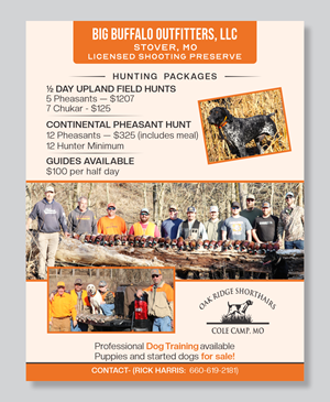 Flyer Design by Mozez32 for this project | Design: #35986478