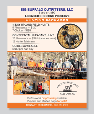 Flyer Design by Mozez32 for this project | Design: #35986549