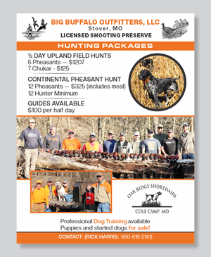 Flyer Design by Mozez32 for this project | Design: #35986587