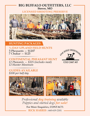 Flyer Design by Mozez32 for this project | Design: #35990899