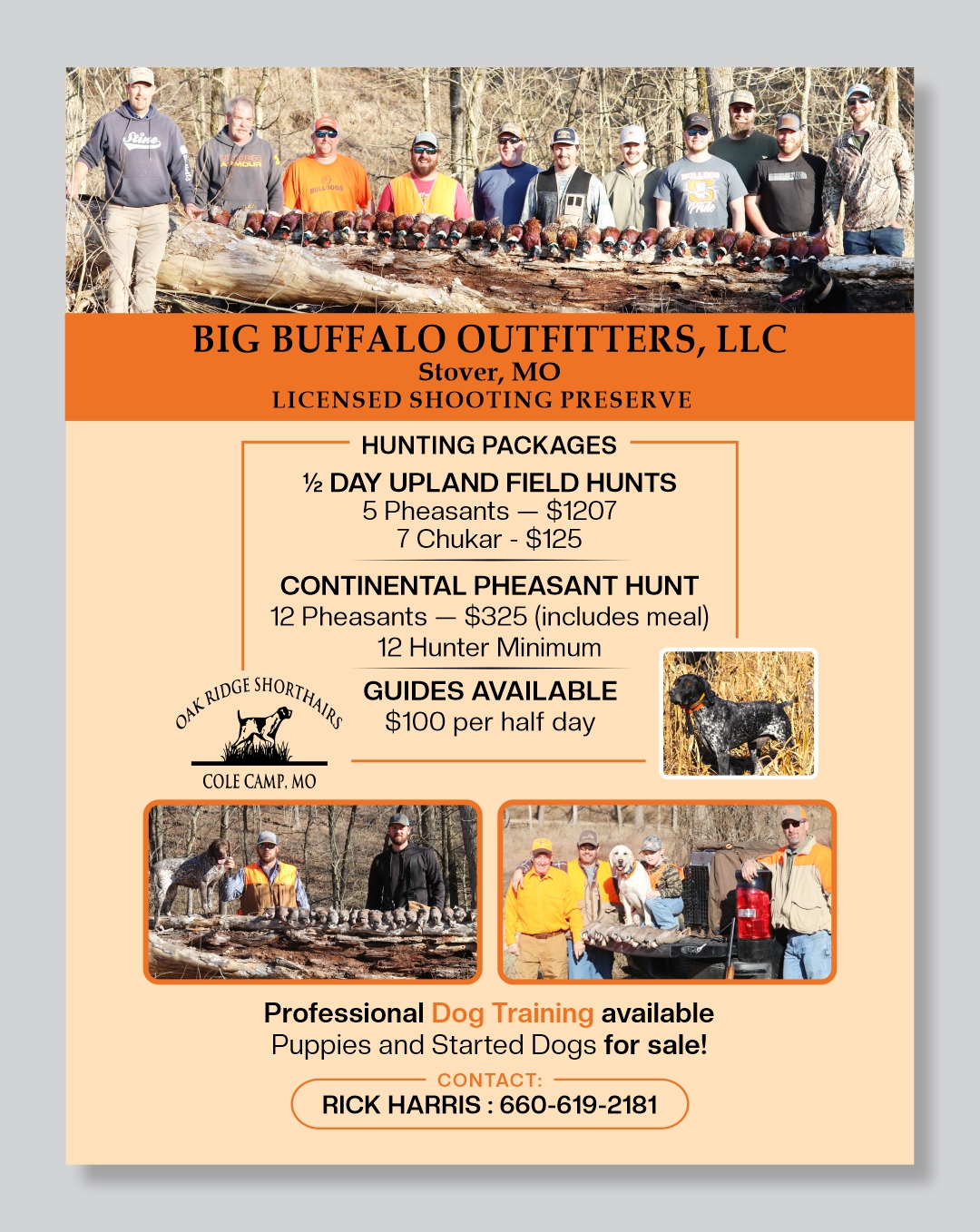 Flyer Design by Mozez32 for this project | Design #35991335