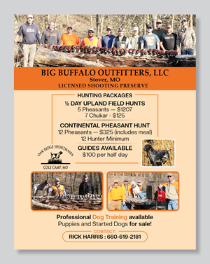 Flyer Design by Mozez32 for this project | Design: #35991335