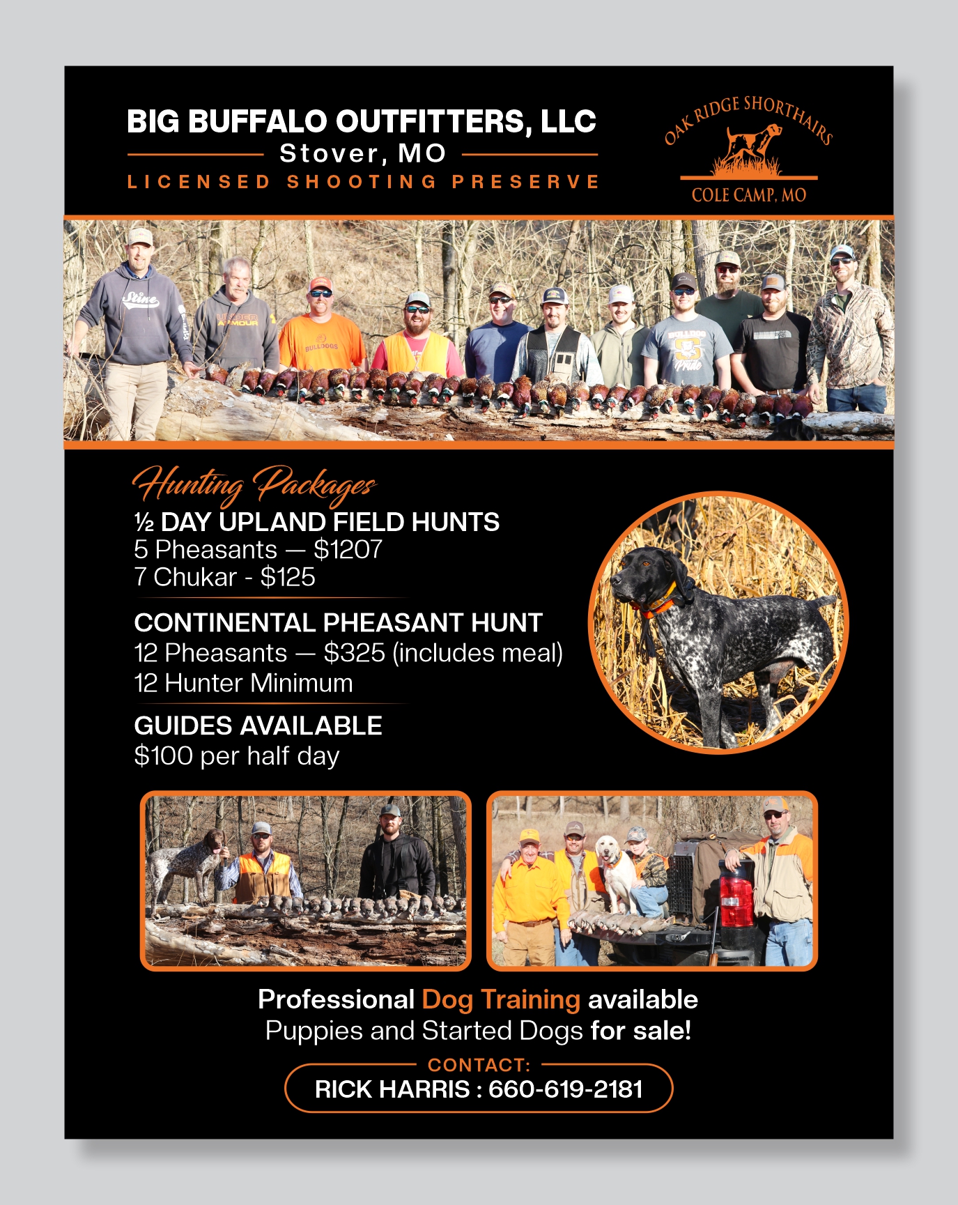 Flyer Design by Mozez32 for this project | Design #35991621