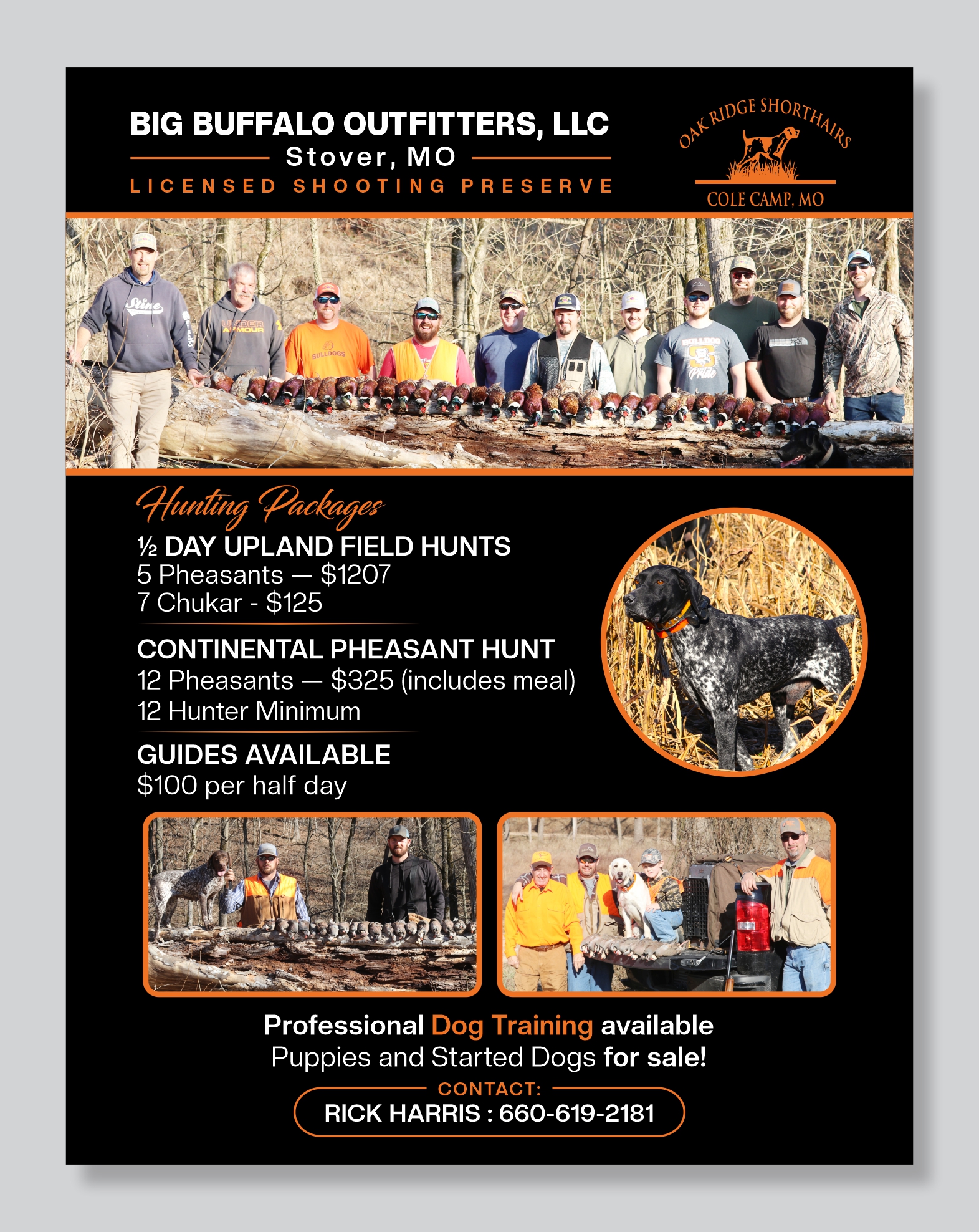 Flyer Design by Mozez32 for this project | Design #35991853