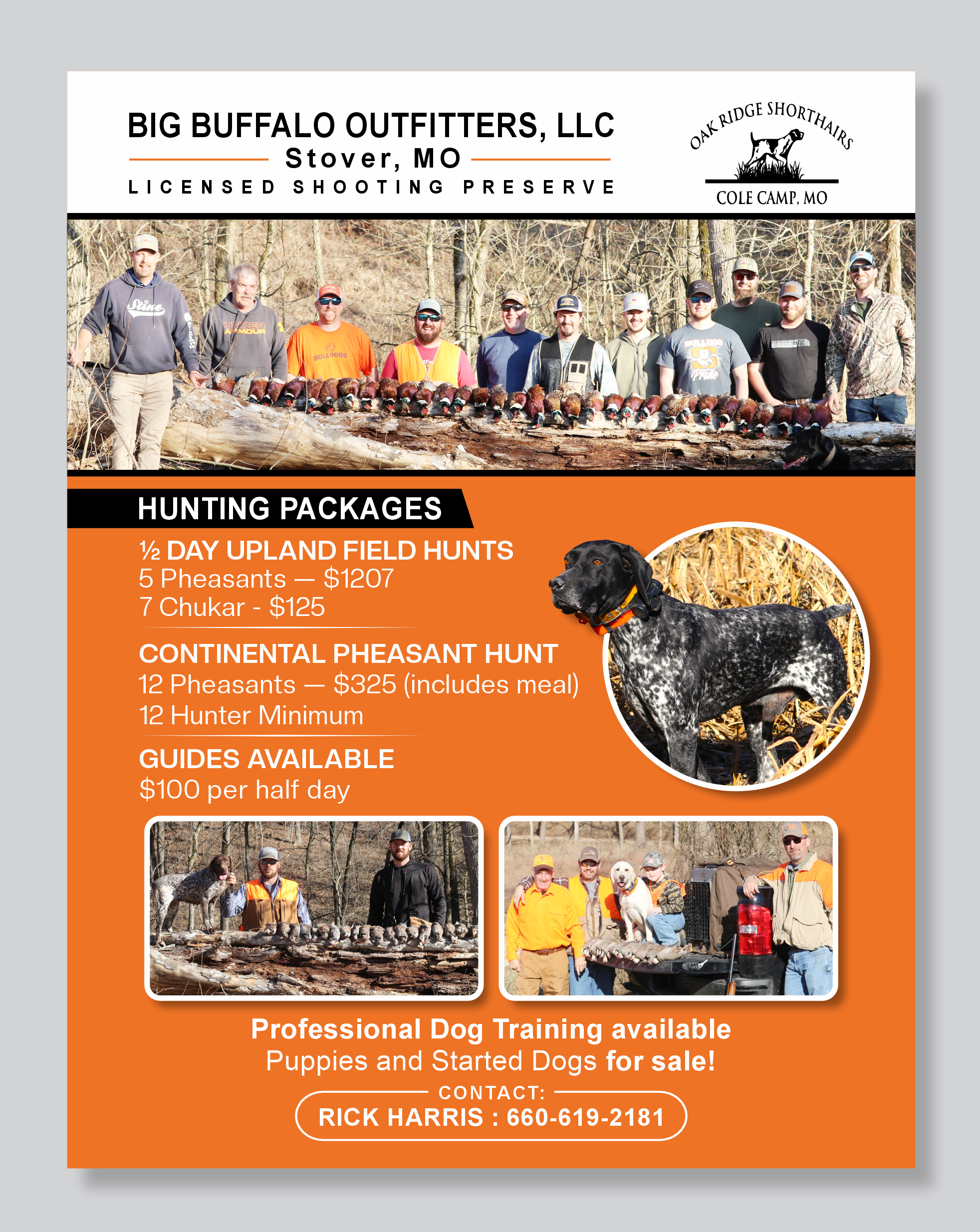 Flyer Design by Mozez32 for this project | Design #35994314