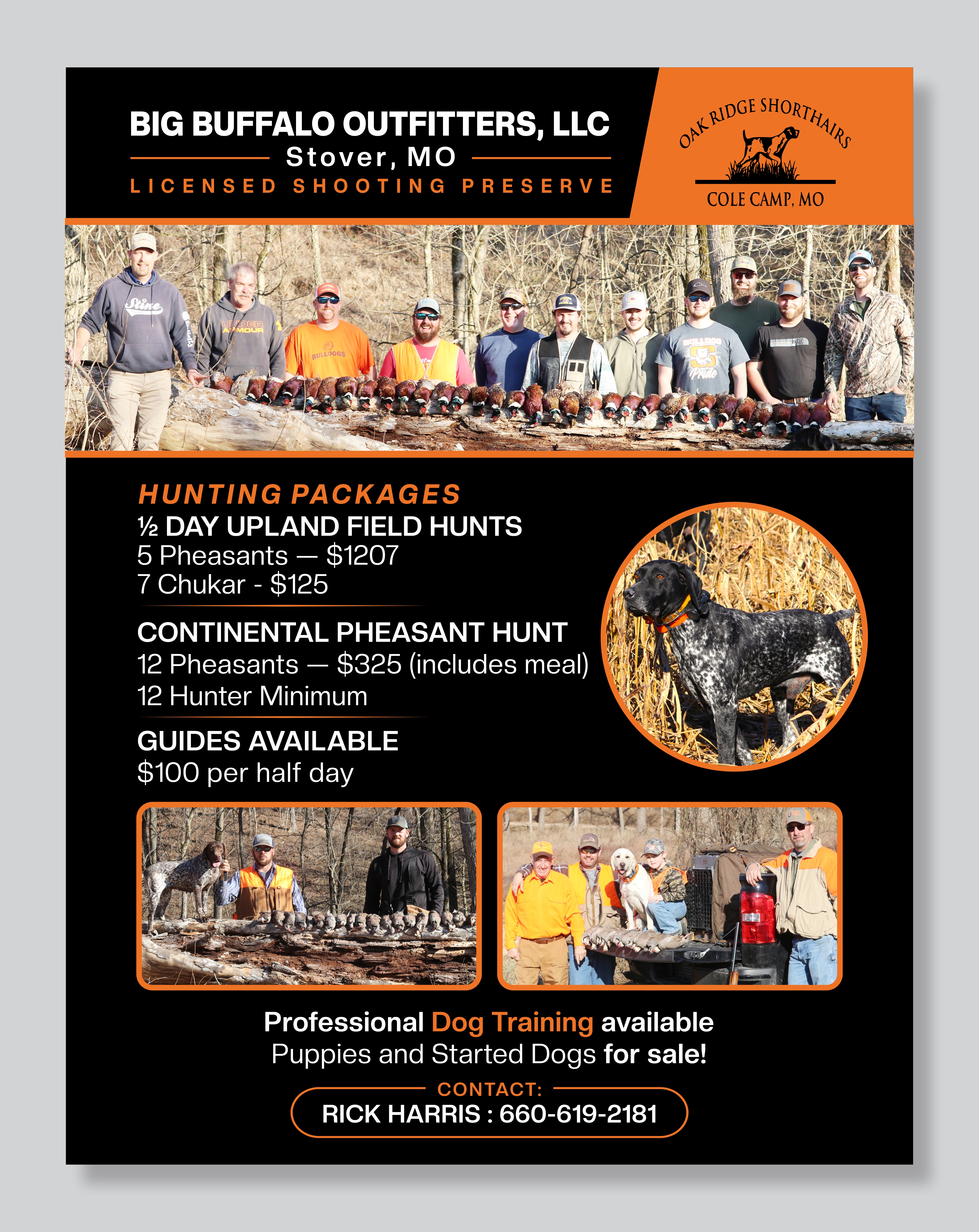 Flyer Design by Mozez32 for this project | Design #36004288