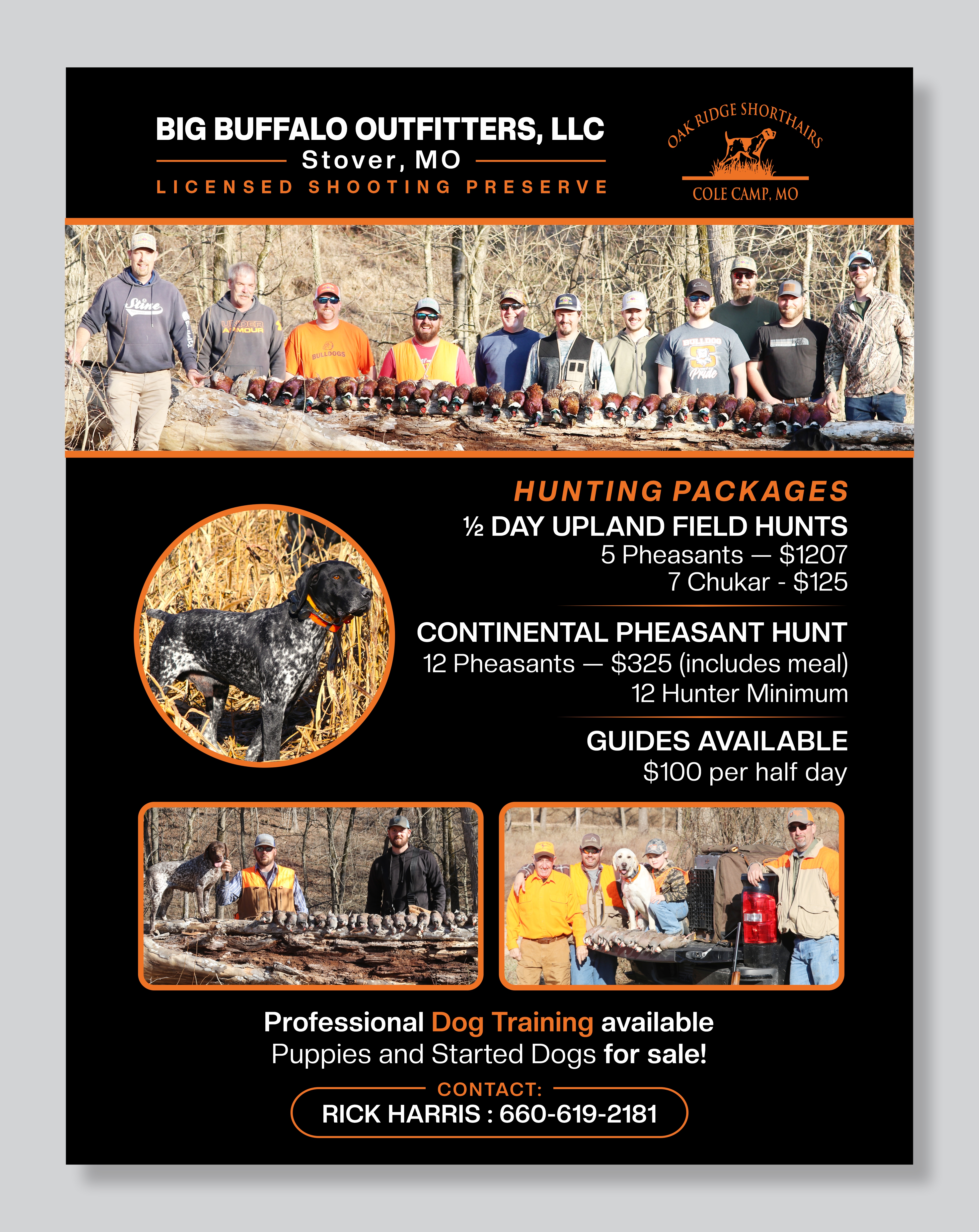 Flyer Design by Mozez32 for this project | Design #36004308