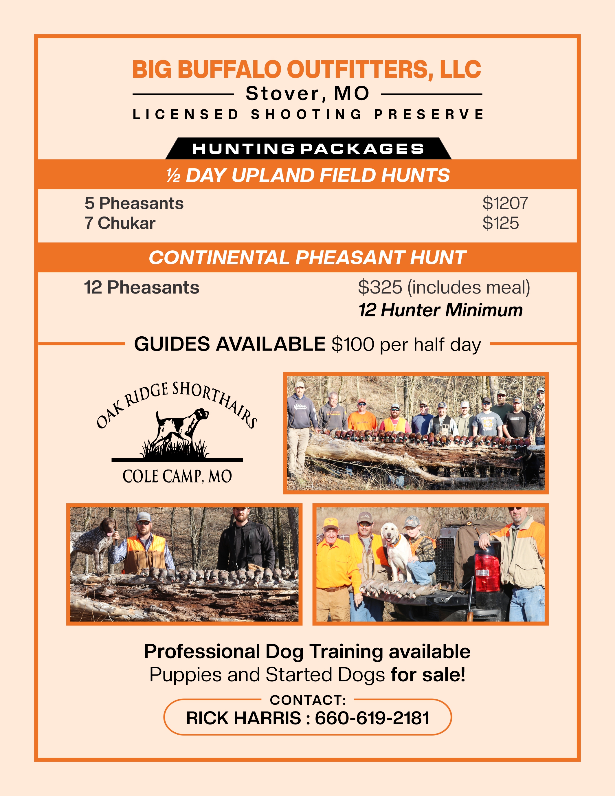 Flyer Design by Mozez32 for this project | Design #36004426