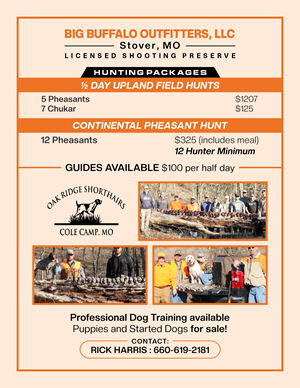 Flyer Design by Mozez32 for this project | Design: #36004426
