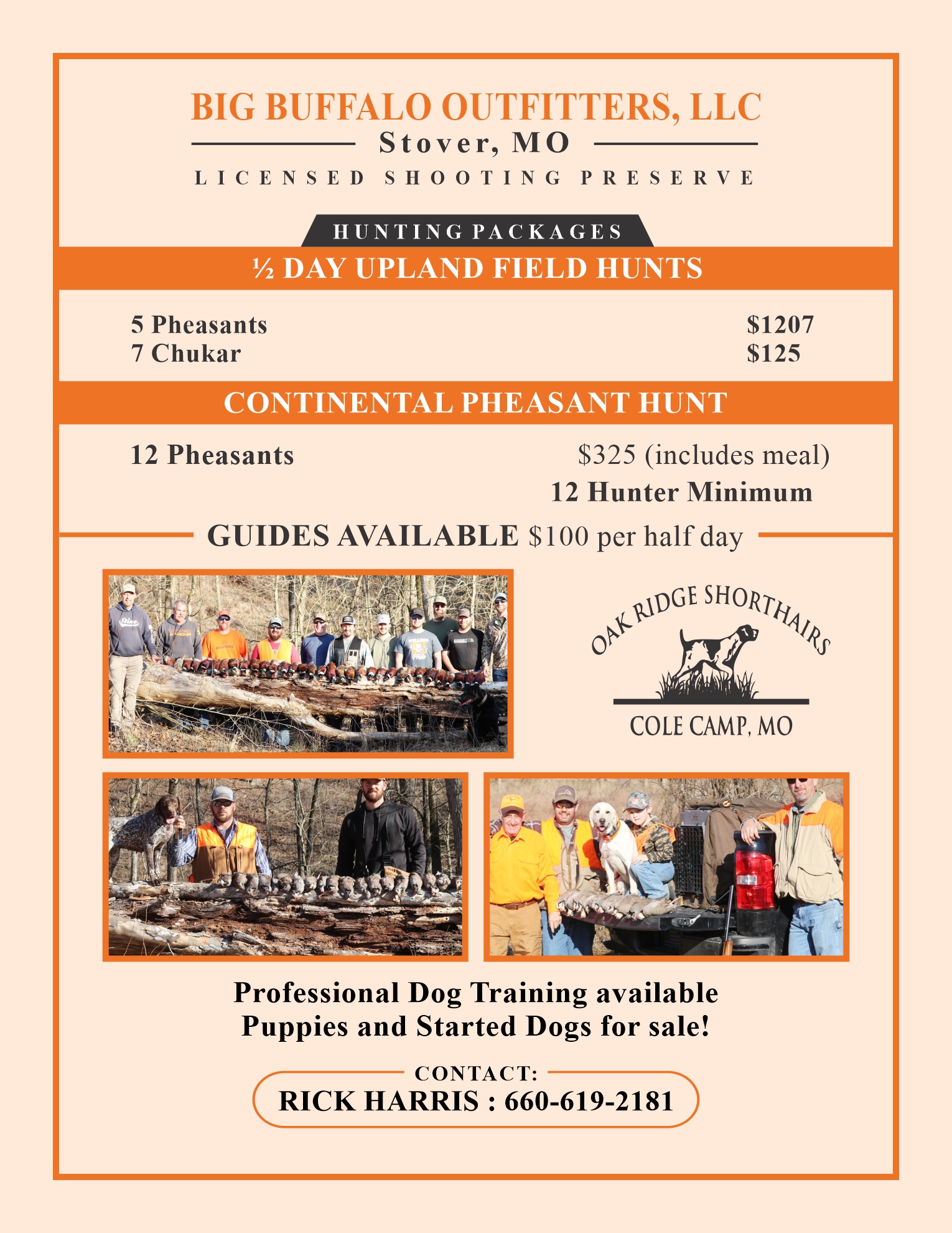 Flyer Design by Mozez32 for this project | Design #36004447