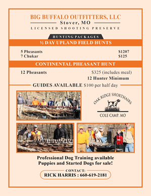 Flyer Design by Mozez32 for this project | Design: #36004447