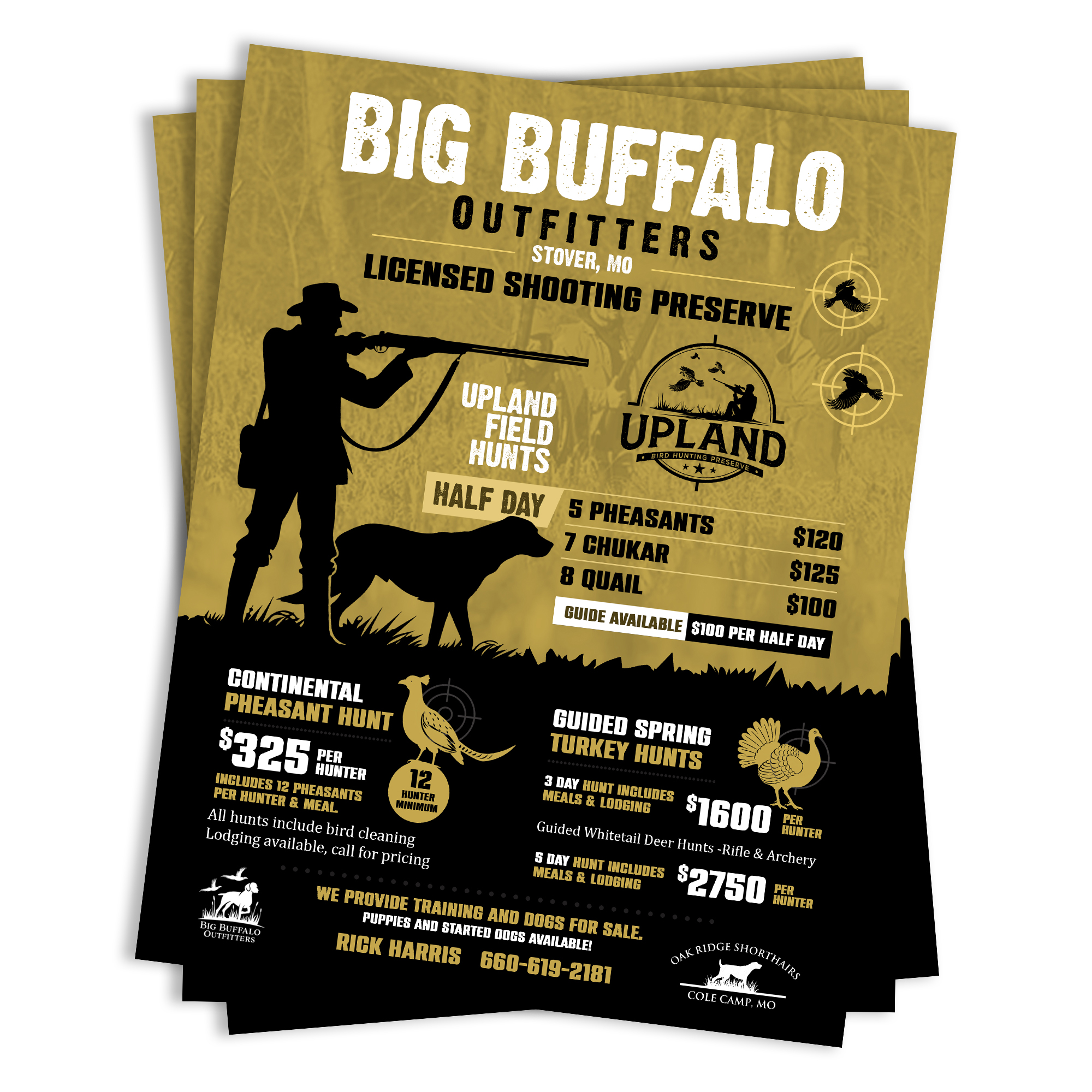 Flyer Design by debdesign for this project | Design #35965505