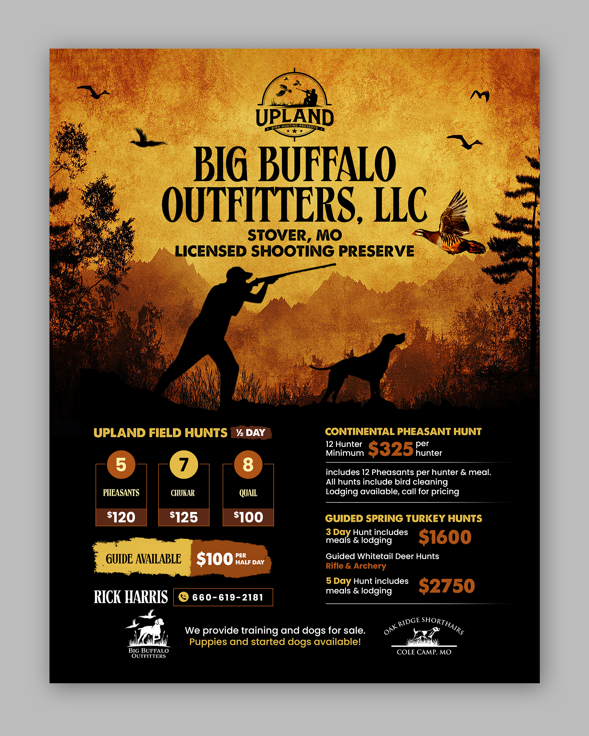 Flyer-Design von debdesign für dieses Projekt | Design #35965558