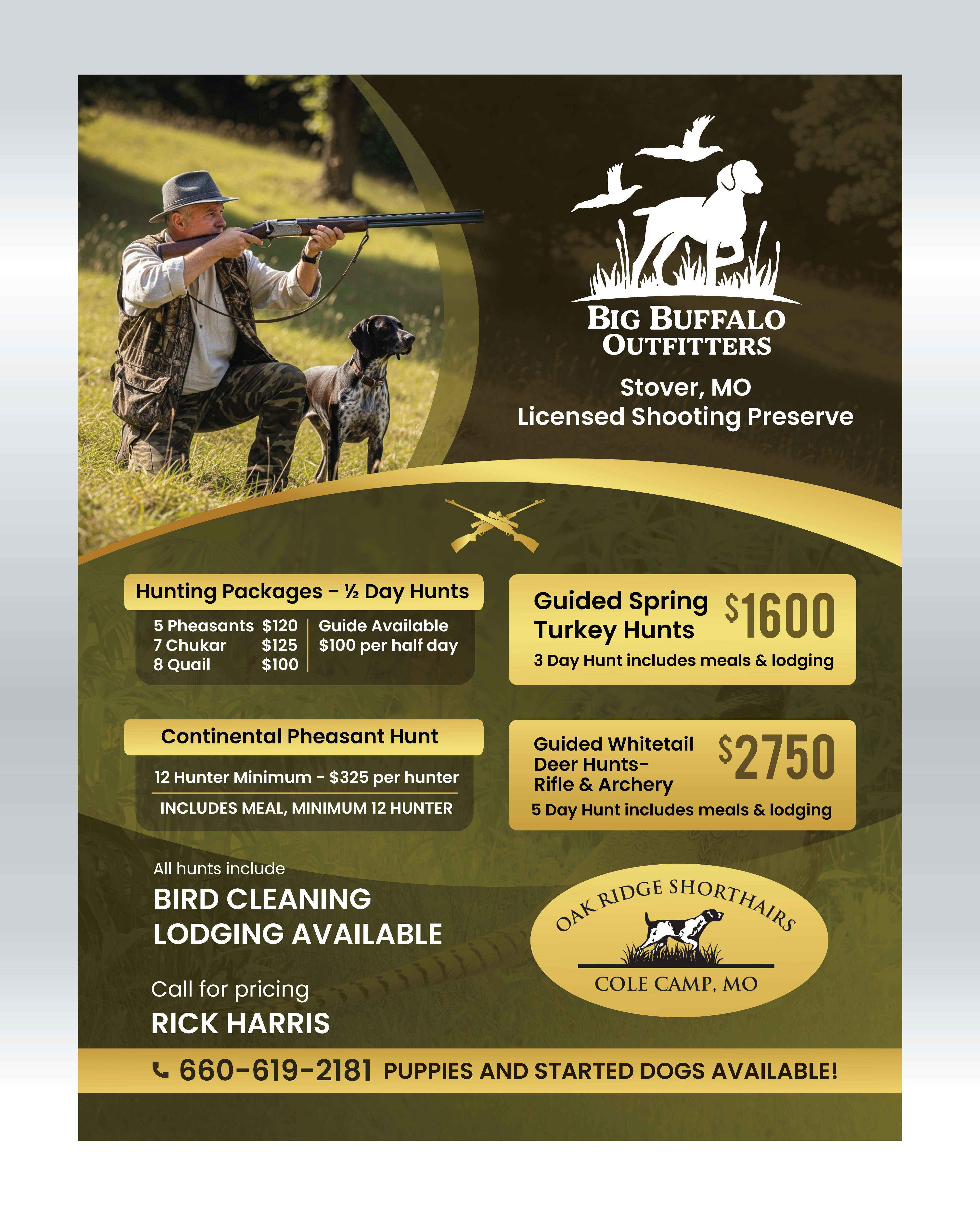 Flyer Design by saurov for this project | Design #35960283