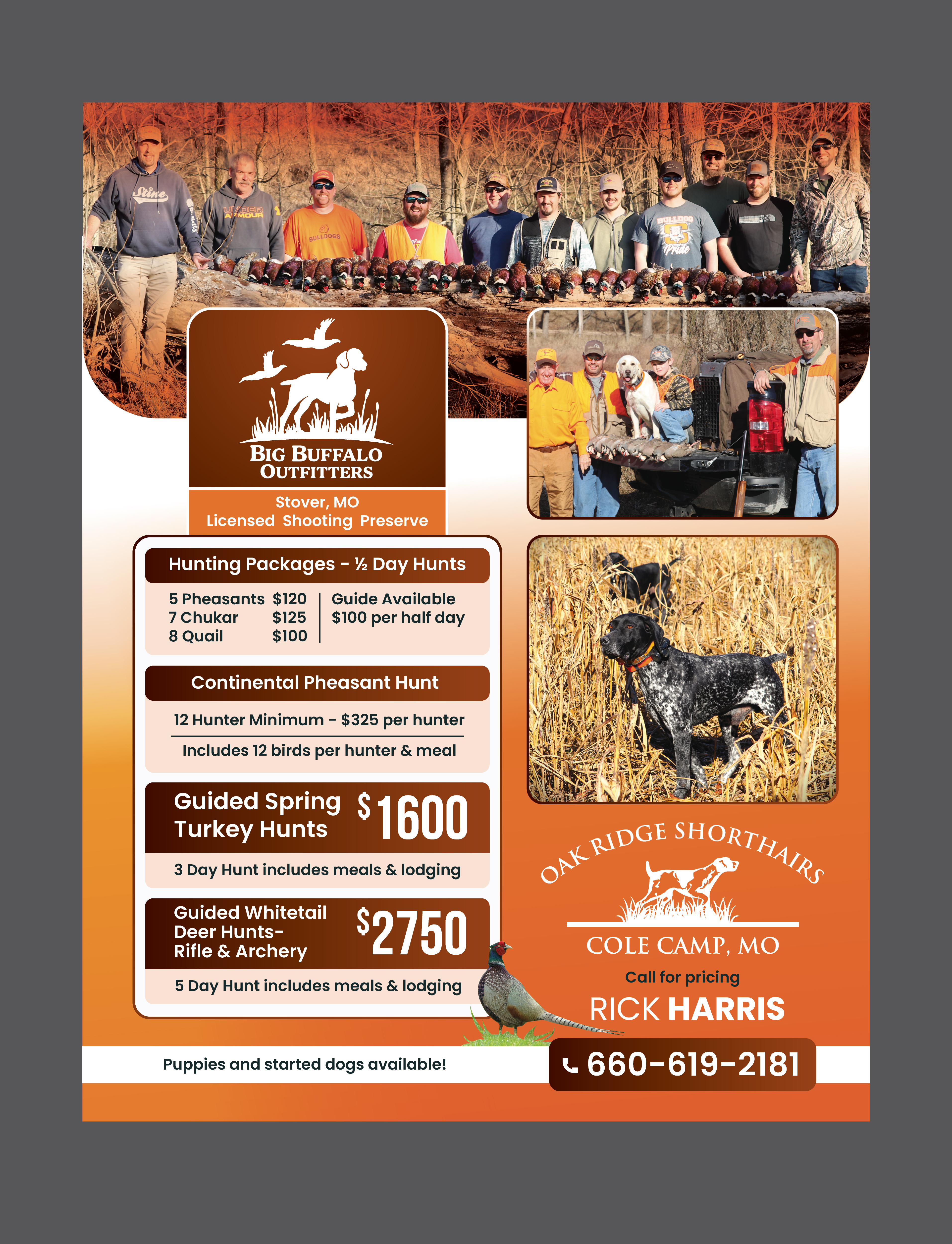 Flyer Design by saurov for this project | Design #35983870