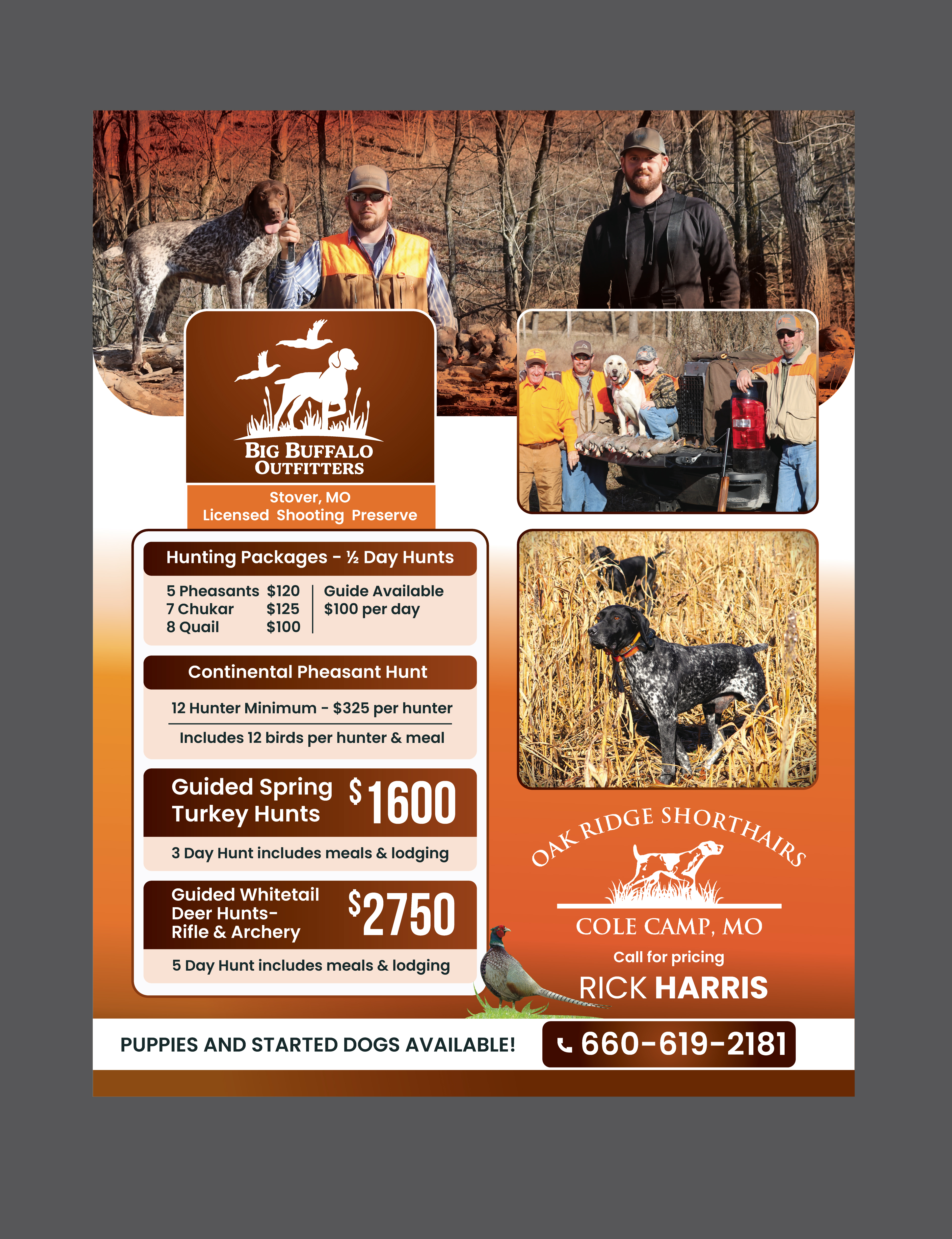 Flyer Design by saurov for this project | Design #35990148